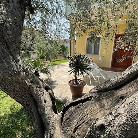 Casetta Mia - Holiday Family House Santarcangelo di Romagna Exterior photo