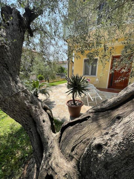 Casetta Mia - Family House Hébergement de vacances