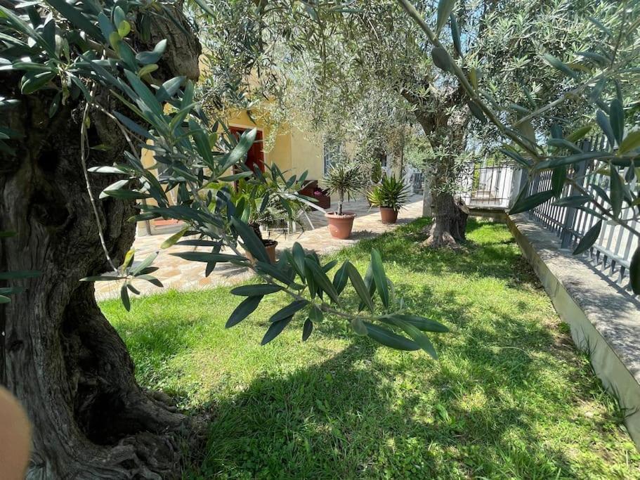 Casetta Mia - Family House *